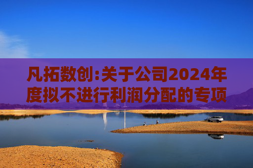 凡拓数创:关于公司2024年度拟不进行利润分配的专项说明