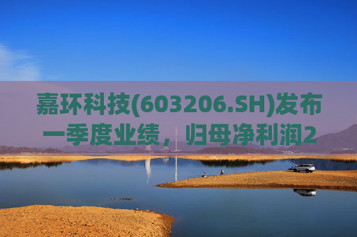 嘉环科技(603206.SH)发布一季度业绩，归母净利润2021.72万元，同比下降21.02%