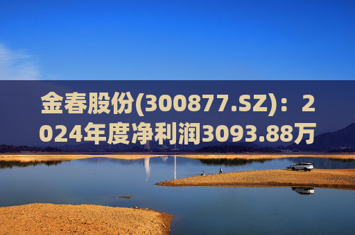 金春股份(300877.SZ)：2024年度净利润3093.88万元 拟10派1元  第1张