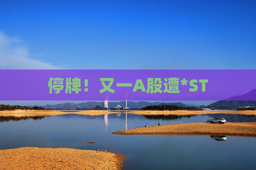 停牌！又一A股遭*ST
