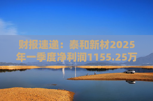 财报速递：泰和新材2025年一季度净利润1155.25万元  第1张