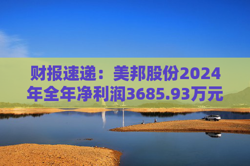 财报速递：美邦股份2024年全年净利润3685.93万元  第1张