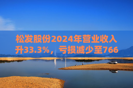 松发股份2024年营业收入升33.3%，亏损减少至7664万元  第1张