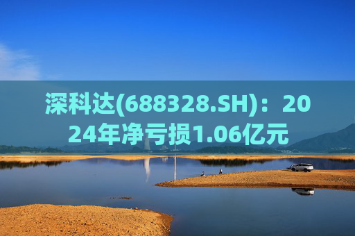 深科达(688328.SH)：2024年净亏损1.06亿元  第1张