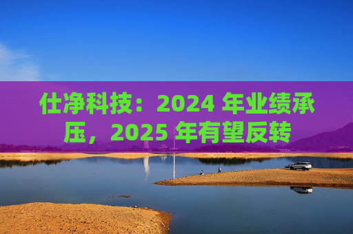 仕净科技：2024 年业绩承压，2025 年有望反转