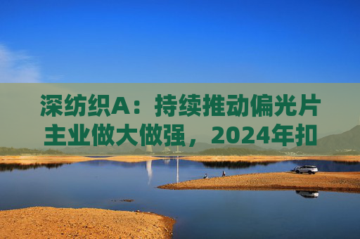 深纺织A：持续推动偏光片主业做大做强，2024年扣非归母净利润增长23.58%