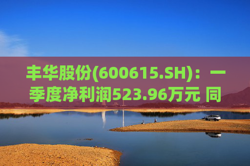 丰华股份(600615.SH)：一季度净利润523.96万元 同比增长645.11%  第1张