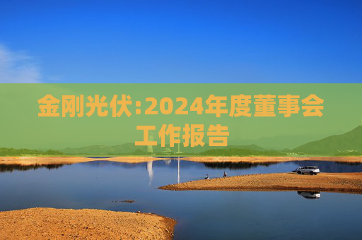 金刚光伏:2024年度董事会工作报告