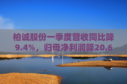 柏诚股份一季度营收同比降9.4%，归母净利润降20.6%