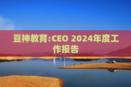 豆神教育:CEO 2024年度工作报告