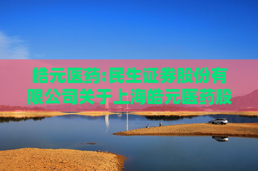 皓元医药:民生证券股份有限公司关于上海皓元医药股份有限公司申请2025年度综合授信及为子公司提供担保的核查意见