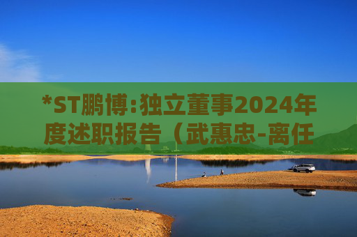 *ST鹏博:独立董事2024年度述职报告（武惠忠-离任）