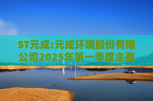 ST元成:元成环境股份有限公司2025年第一季度主要经营数据的公告