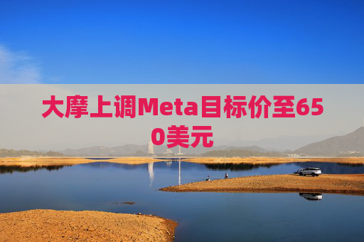 大摩上调Meta目标价至650美元
