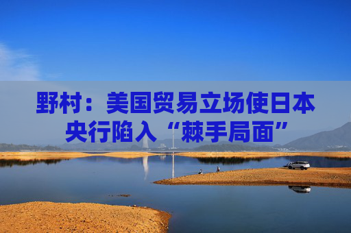 野村：美国贸易立场使日本央行陷入“棘手局面”  第1张