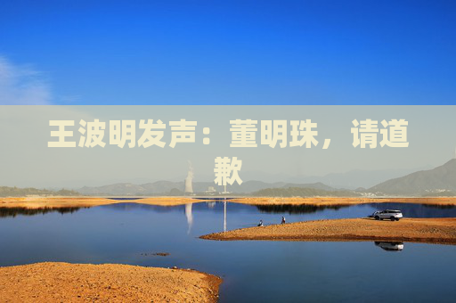 王波明发声：董明珠，请道歉