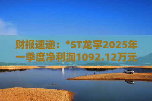 财报速递：*ST龙宇2025年一季度净利润1092.12万元