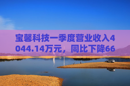 宝馨科技一季度营业收入4044.14万元,同比下降66.73%