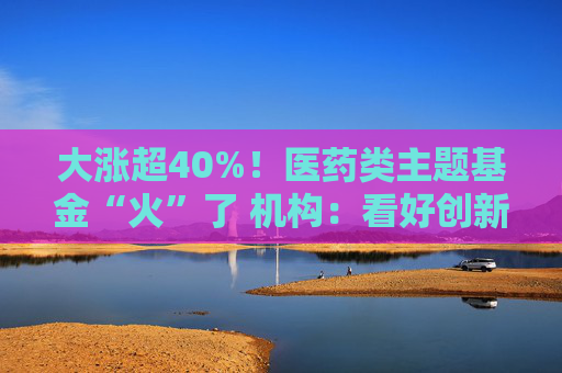 大涨超40%！医药类主题基金“火”了 机构：看好创新药投资机会  第1张