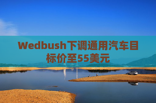 Wedbush下调通用汽车目标价至55美元