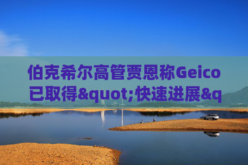 伯克希尔高管贾恩称Geico已取得"快速进展"