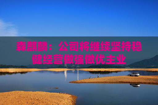 森麒麟：公司将继续坚持稳健经营做强做优主业  第1张
