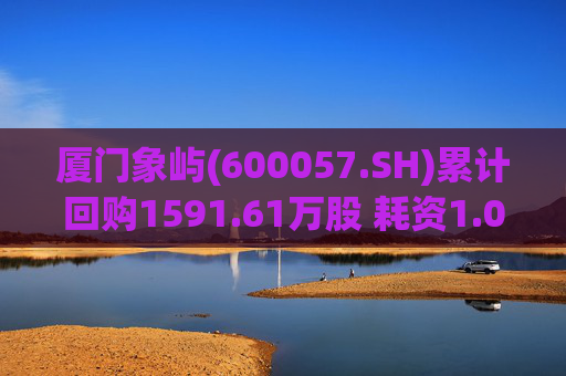 厦门象屿(600057.SH)累计回购1591.61万股 耗资1.03亿元