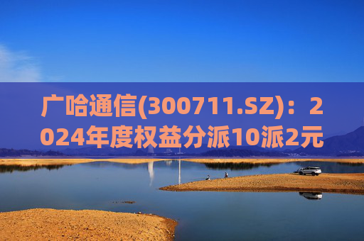 广哈通信(300711.SZ):2024年度权益分派10派2元 股权登记日5月12日
