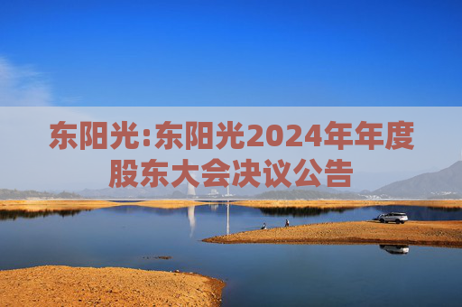 东阳光:东阳光2024年年度股东大会决议公告  第1张