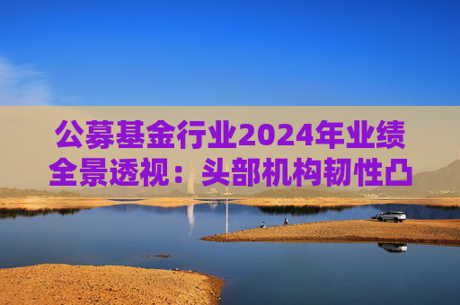 公募基金行业2024年业绩全景透视：头部机构韧性凸显 中小公司差异化突围