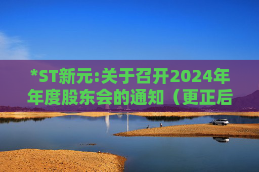 *ST新元:关于召开2024年年度股东会的通知（更正后）
