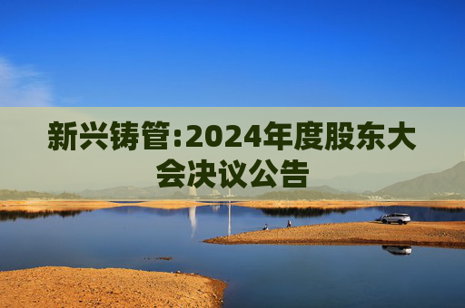 新兴铸管:2024年度股东大会决议公告  第1张