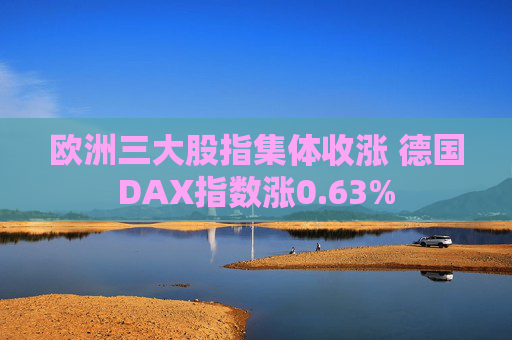 欧洲三大股指集体收涨 德国DAX指数涨0.63%  第1张