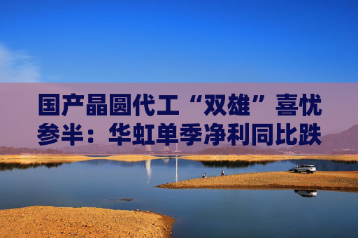 国产晶圆代工“双雄”喜忧参半：华虹单季净利同比跌近9成，中芯国际大涨166.5%