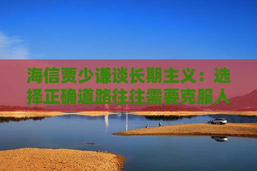 海信贾少谦谈长期主义:选择正确道路往往需要克服人性弱点,承受短期阵痛