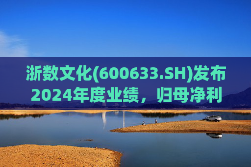 浙数文化(600633.SH)发布2024年度业绩，归母净利润5.12亿元，同比下降22.84%  第1张