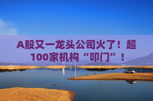 A股又一龙头公司火了！超100家机构“叩门”！