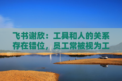 飞书谢欣：工具和人的关系存在错位，员工常被视为工具的附属  第1张