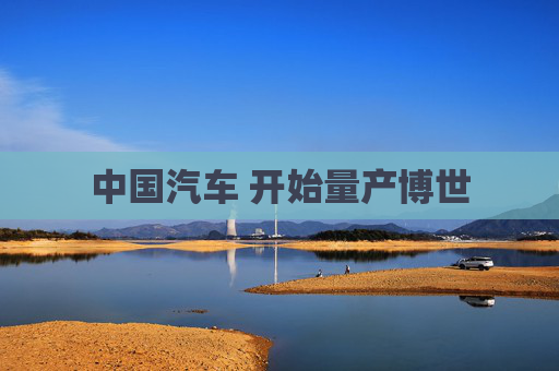 中国汽车 开始量产博世  第1张