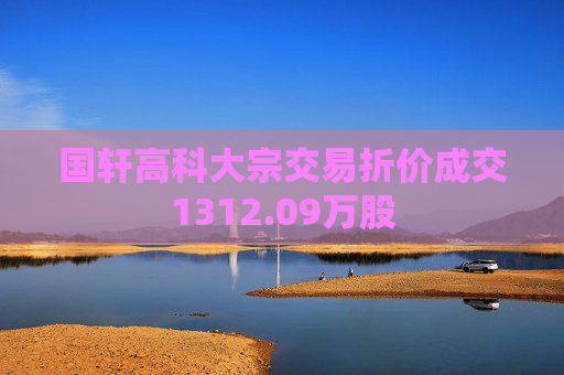 国轩高科大宗交易折价成交1312.09万股