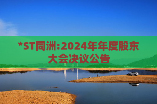 *ST同洲:2024年年度股东大会决议公告