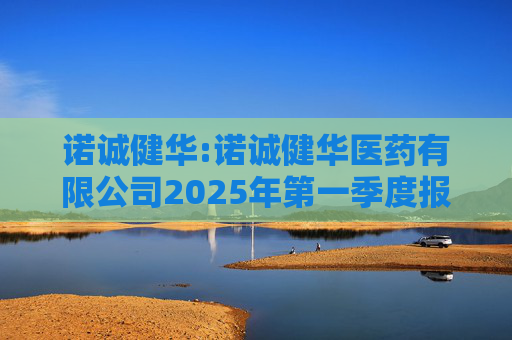 诺诚健华:诺诚健华医药有限公司2025年第一季度报告  第1张