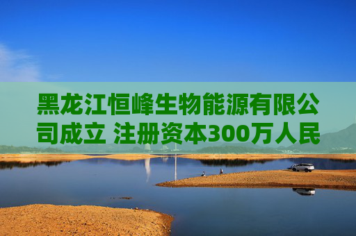 黑龙江恒峰生物能源有限公司成立 注册资本300万人民币 第1张 黑龙江恒峰生物能源有限公司成立 注册资本300万人民币 第1张