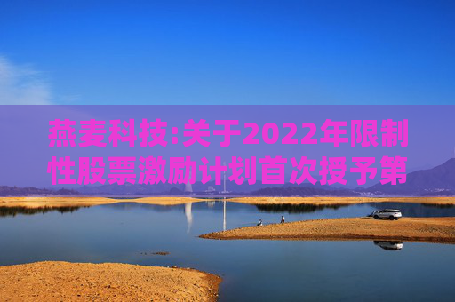 燕麦科技:关于2022年限制性股票激励计划首次授予第二个归属期归属结果暨股份上市的公告