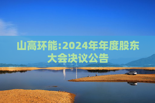 山高环能:2024年年度股东大会决议公告