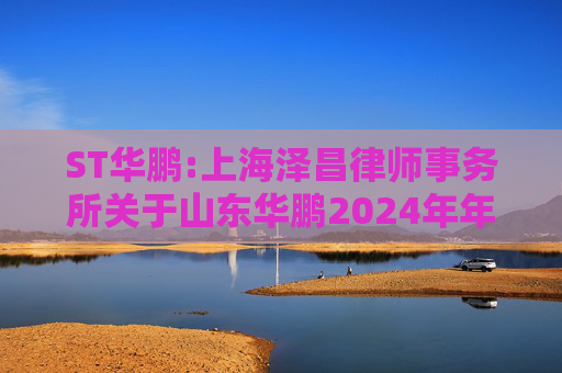 ST华鹏:上海泽昌律师事务所关于山东华鹏2024年年度股东大会的法律意见书  第1张