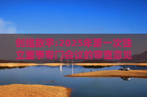 创维数字:2025年第一次独立董事专门会议的审查意见  第1张