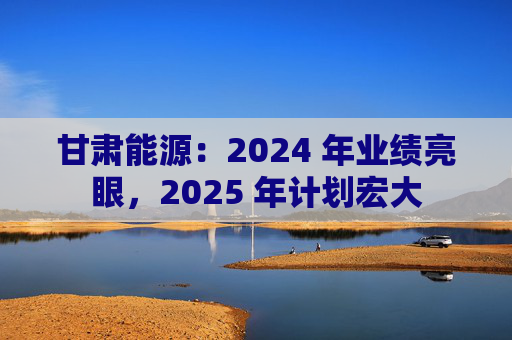 甘肃能源：2024 年业绩亮眼，2025 年计划宏大