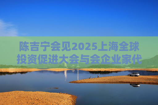 陈吉宁会见2025上海全球投资促进大会与会企业家代表