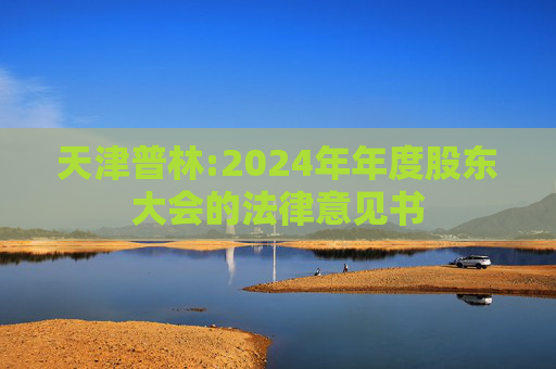 天津普林:2024年年度股东大会的法律意见书